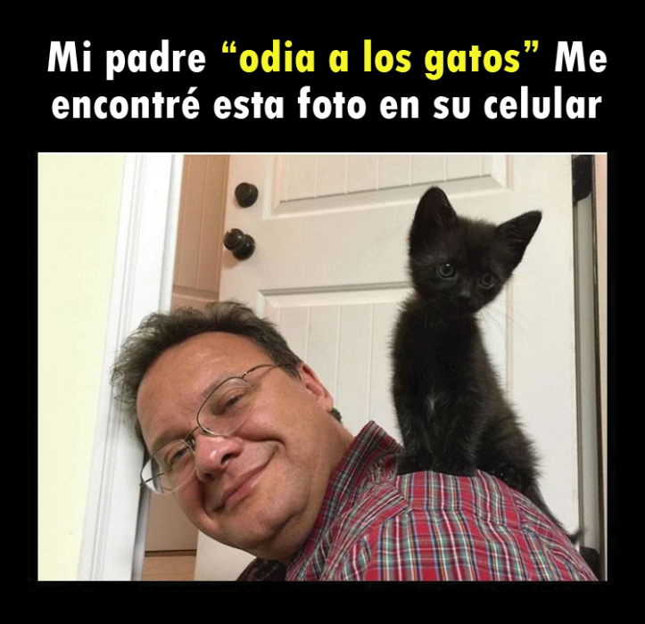 Señor se toma selfie con gatito