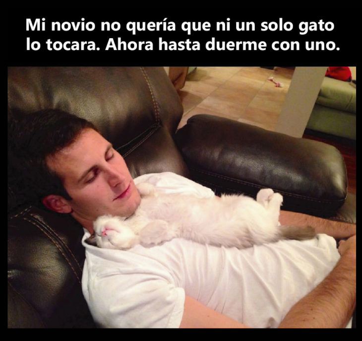 novio duerme con gato