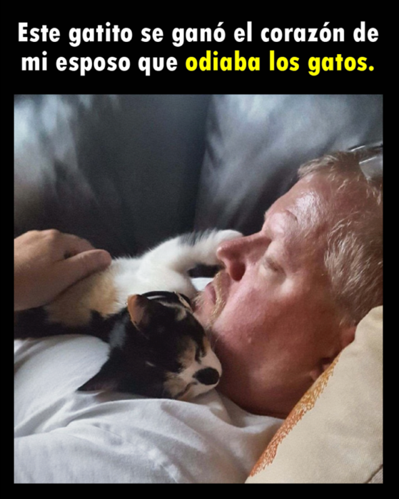 Señor dormido con gato