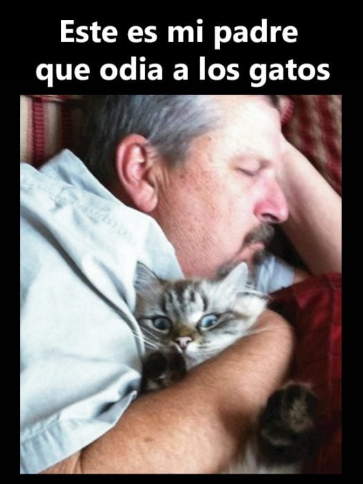 Hombre abrazando gato 