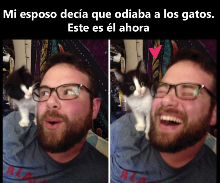 Mi novio odiaba a los gatos