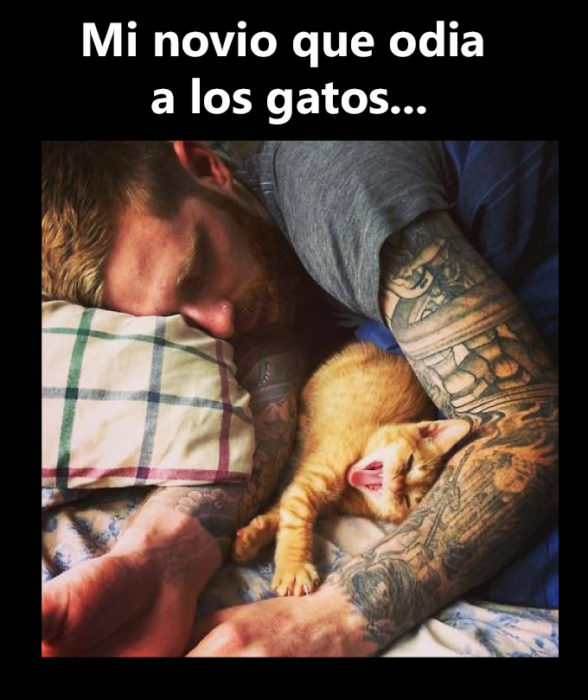 Novio tatuado gatos dormidos