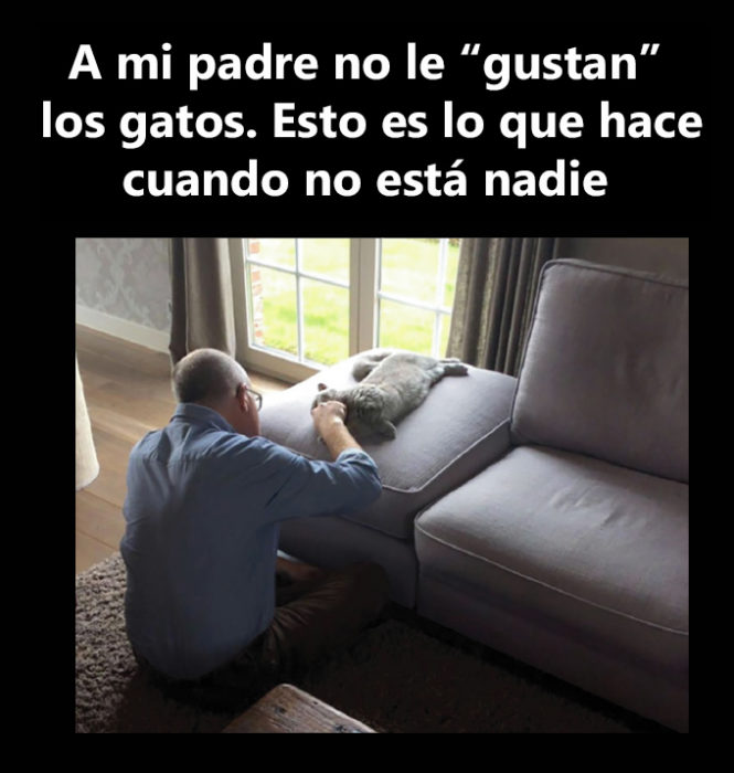 Papá acariciando a un gato