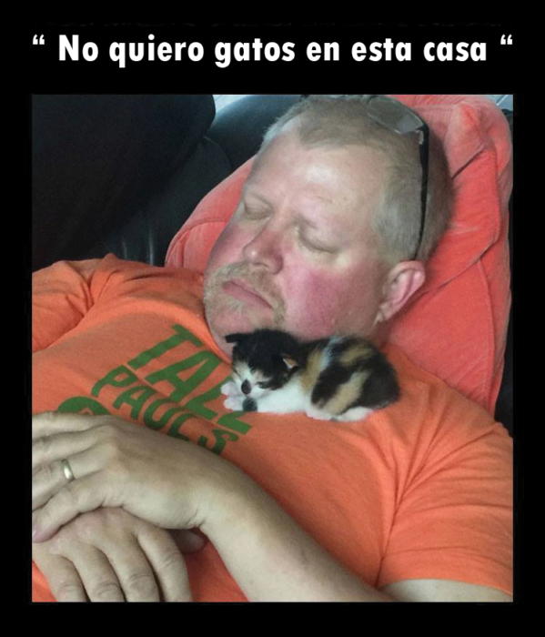 Papá dormido con un gato