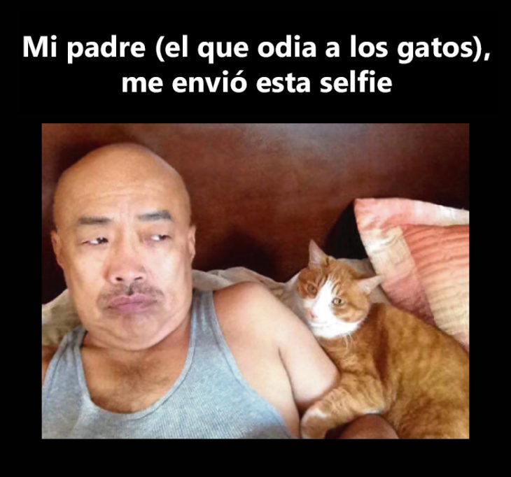 Papá se toma selfie con gato