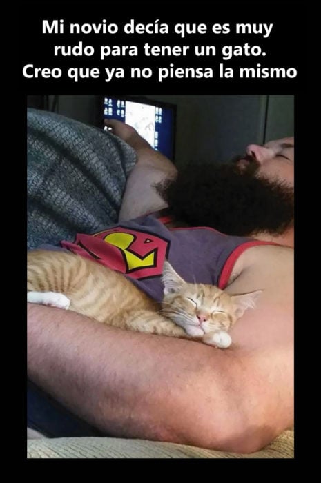 Barbón durmiendo con gato