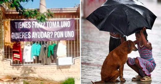 Cover Imágenes que te harán sentir orgulloso de pertenecer a la especie humana