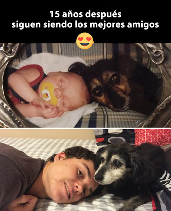 Mi compañero de vida