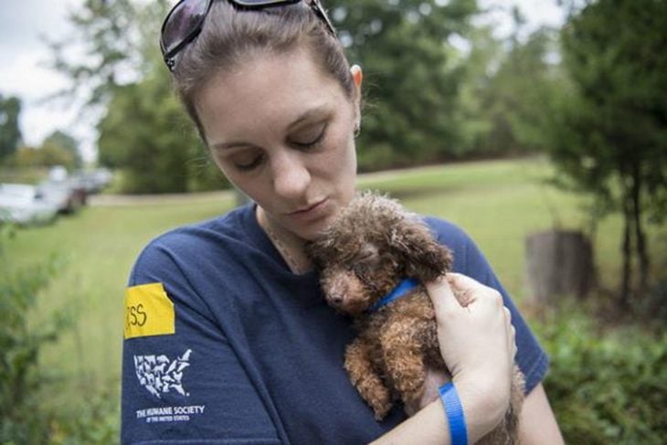 Cuidadora rescata a perrita RecreoViral.com