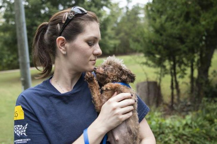 Perrita rescatada recibe amor RecreoViral.com