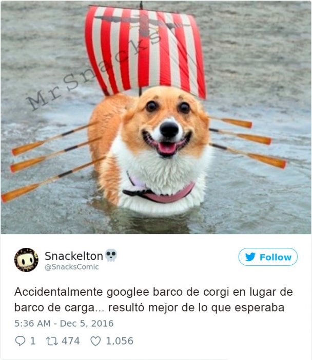 barco de corgi