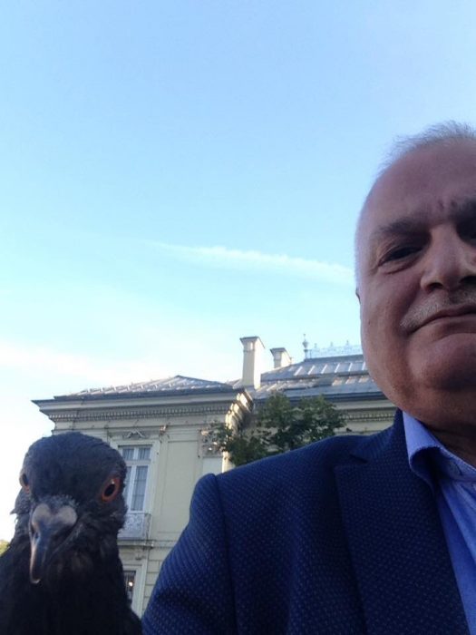 papá selfie con paloma