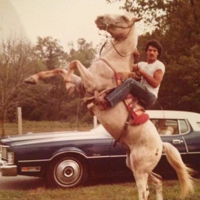 Padres cool Montando a caballo
