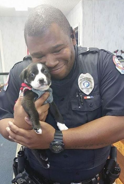 policía perrito