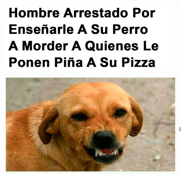 enseño a su perro a morder 