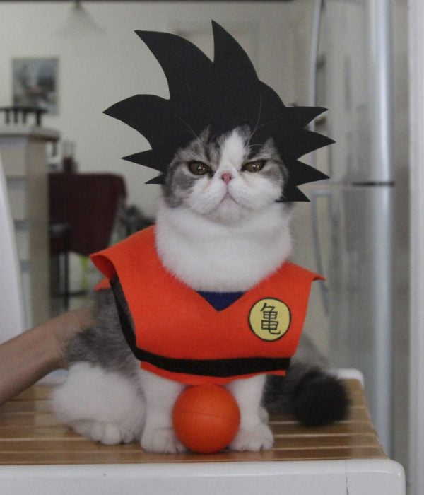 Goku