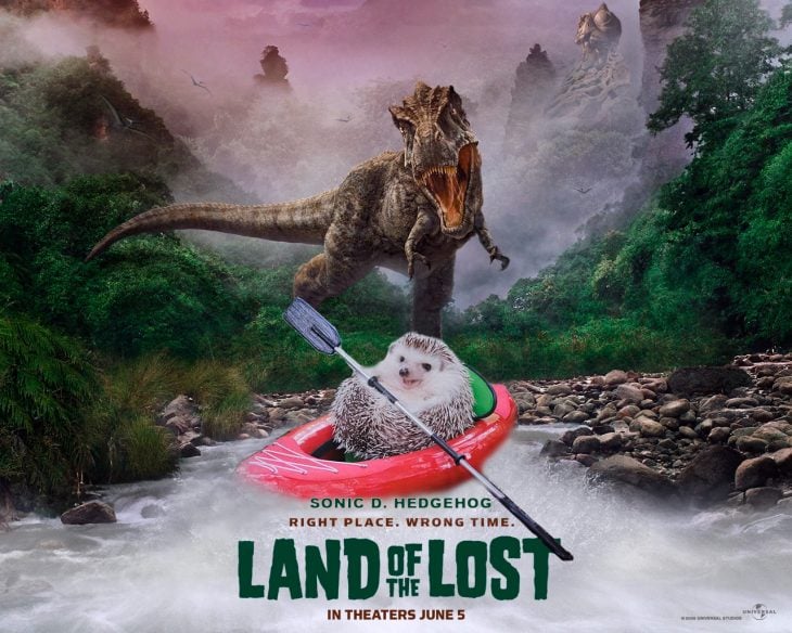 Isla perdida película erizo