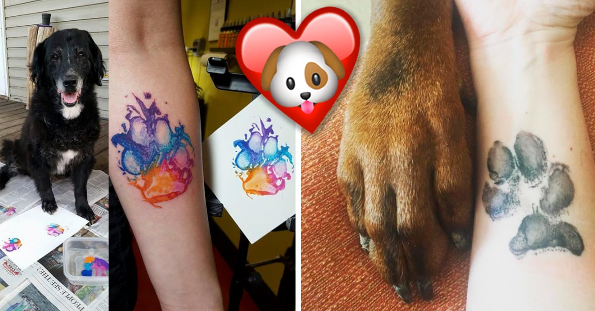 Donde Tatuarte La Huella De Mi Perro