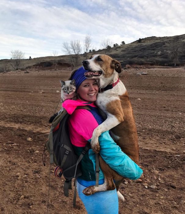 Perro y gato juntos en una aventura en la naturaleza