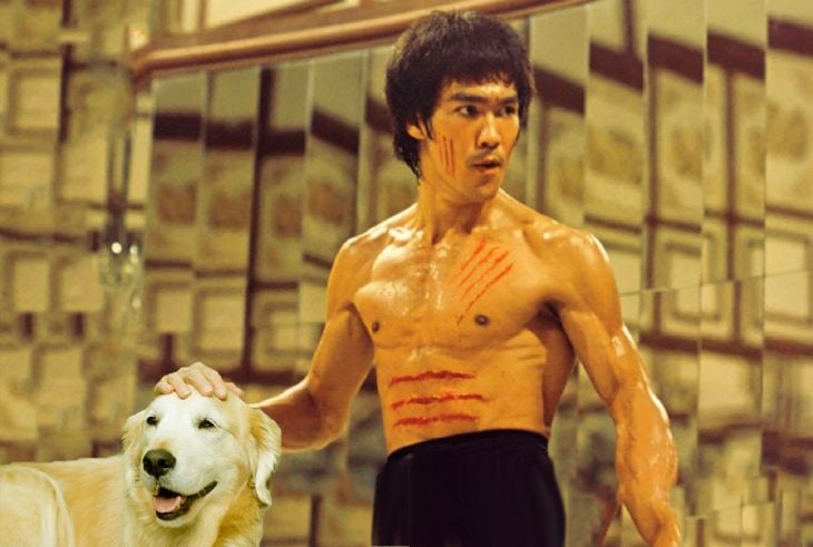 bruce lee