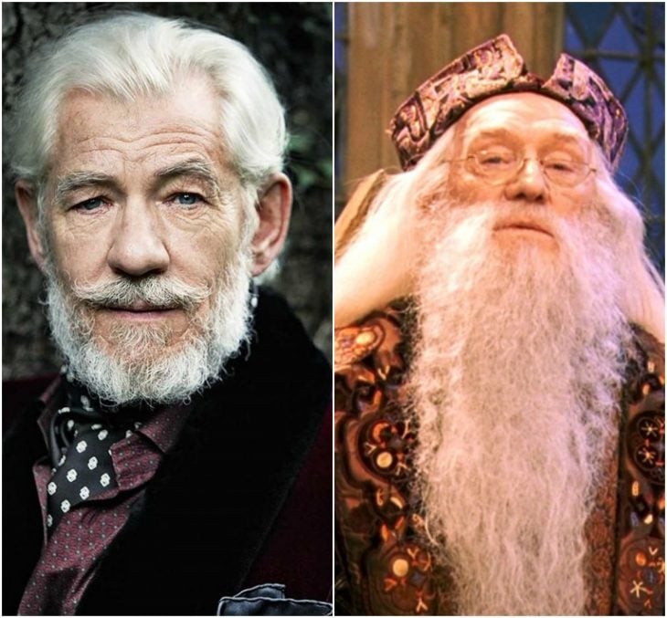 dumbledore gandalf