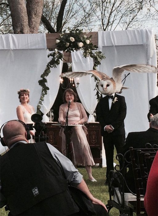 por qué invitar animales a tu boda