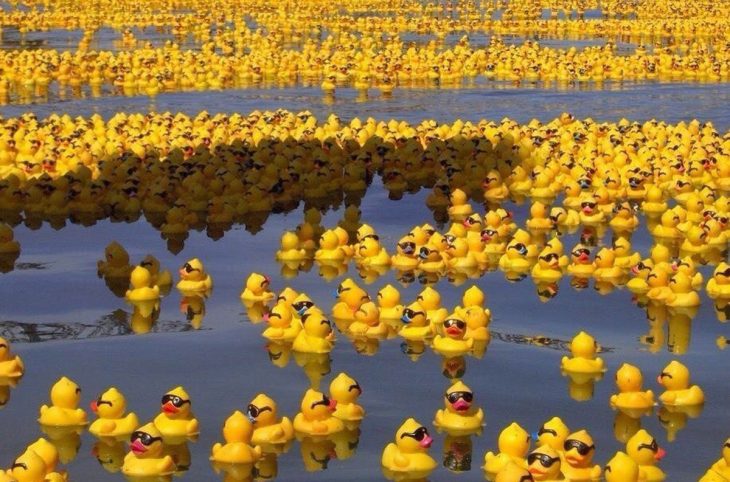 Patitos de goma