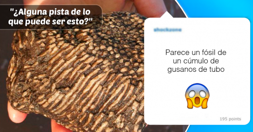 cosas extrañas que sorprendieron a la gente, pero internet enseguida supo lo que era