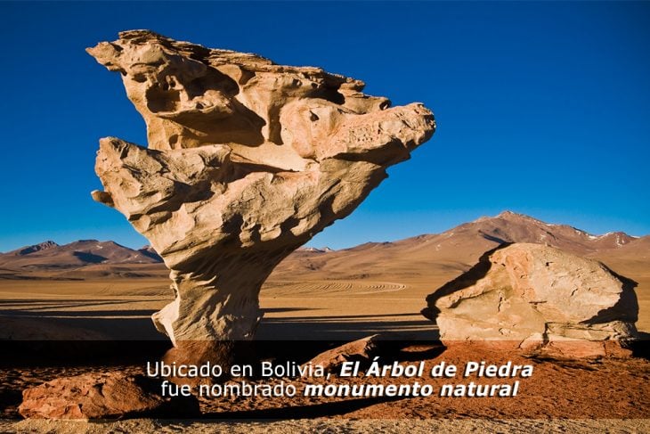 Este árbol se formó con el aire