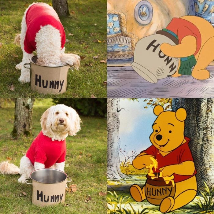 Winnie dog