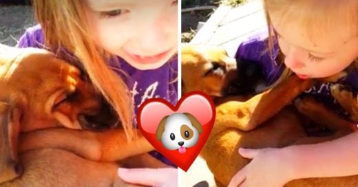 Cover Niña le canta a su perro hasta dormirlo y se vuelve viral