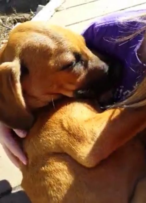 Niña le canta su perrito