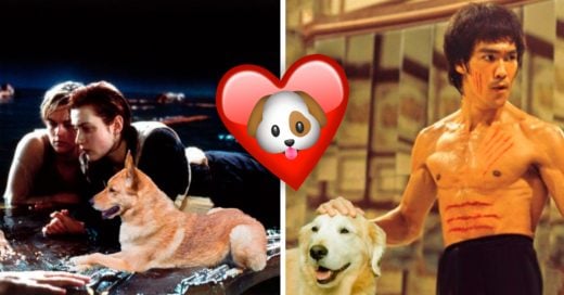 Cover Estos son los mejores 11 memes acariciando perritos que encontrarás en todo el maldito Internet