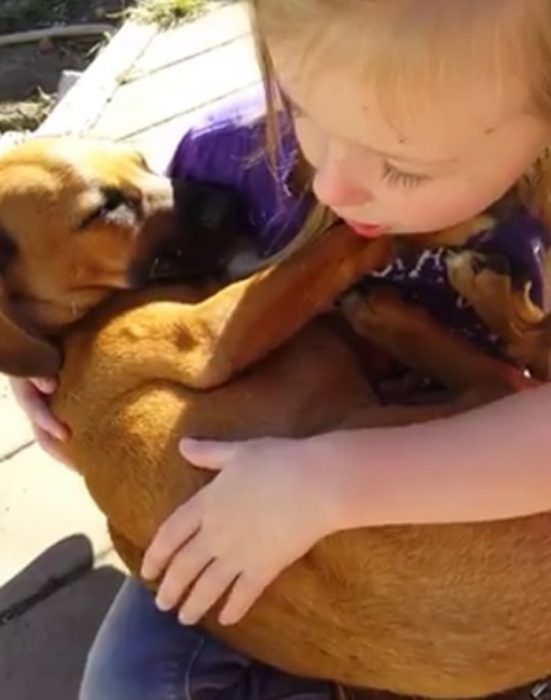 Niña le canta su perrito