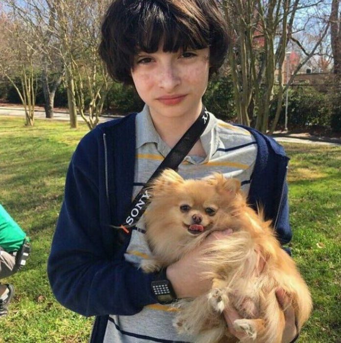 finn y el perrito