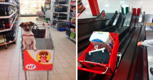 Cover supermercado que hacen que las compras sean más divertidas