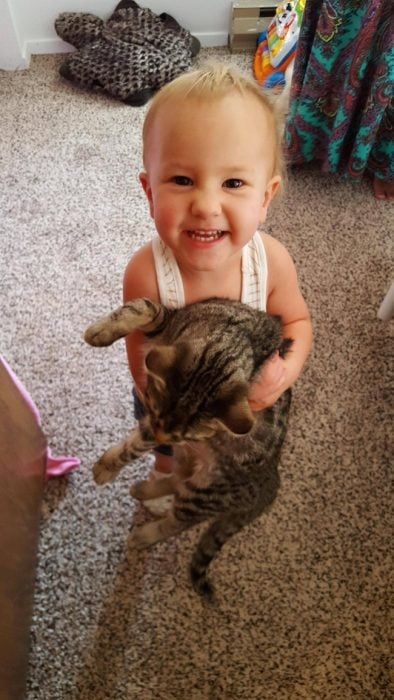 gato y bebé