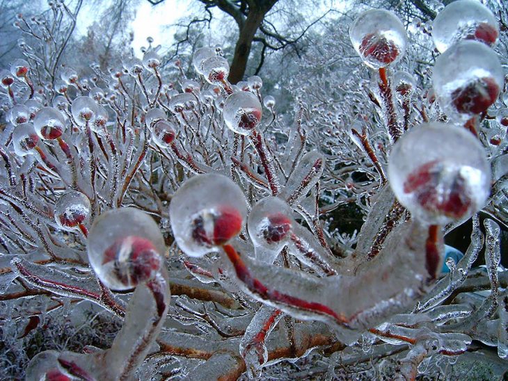 FormacionesDehielo