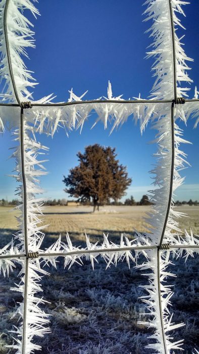 FormacionesDehielo