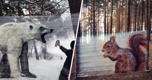 Cover Pinto animales con spray sobre envoltorio plástico en el bosque