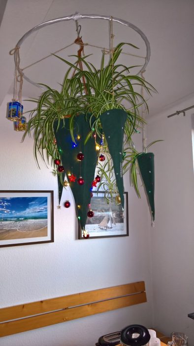 arbol navideñoplantas