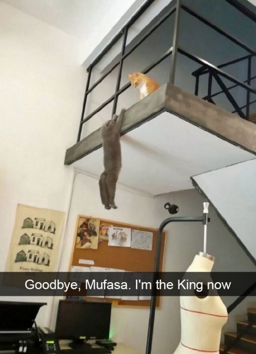 mufasa