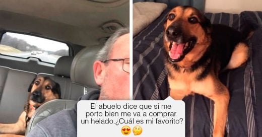 Cover Esta mujer descubrió que su papá es el mejor niñero para su perro