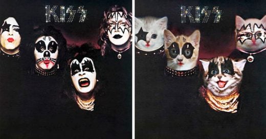 Cover Cambió las portadas de álbumes famosos con gatos y el resultado es MIAURAVILLOSO