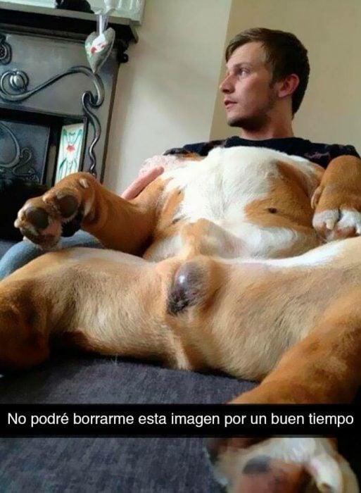 perro cuerpo