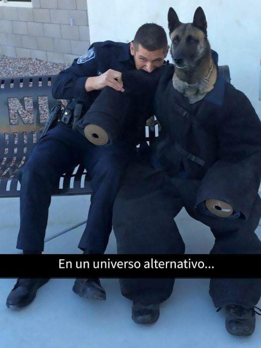 perro policía