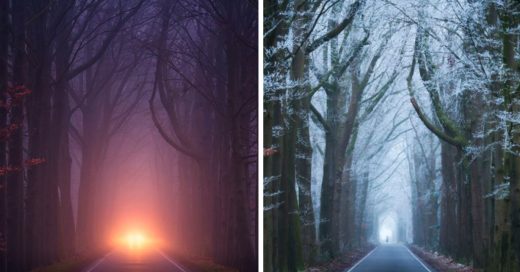 Cover Tomó fotografías del mismo lugar en diferentes estaciones del año