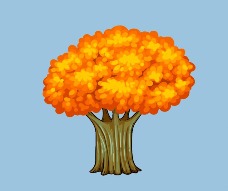 arbol naranja