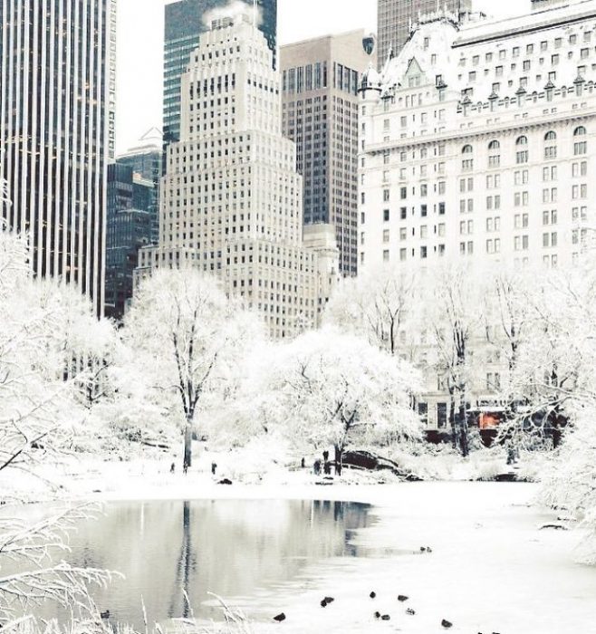 nueva york nevado