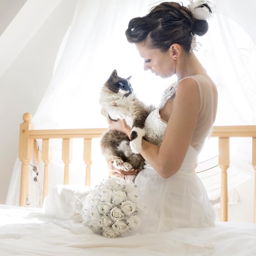 Invitados de honor; gatitos que hacen las bodas mucho mejor